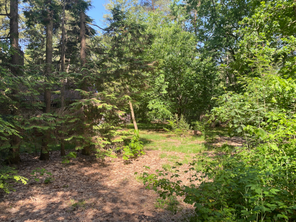 Tuin in garderen