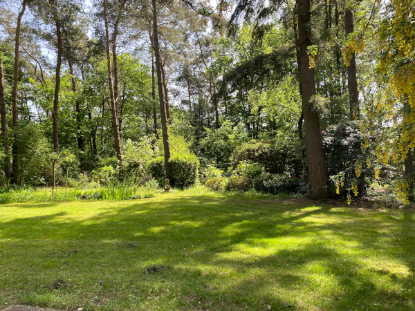 Tuin in garderen