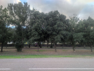 Parkeerplek bij sportveldje