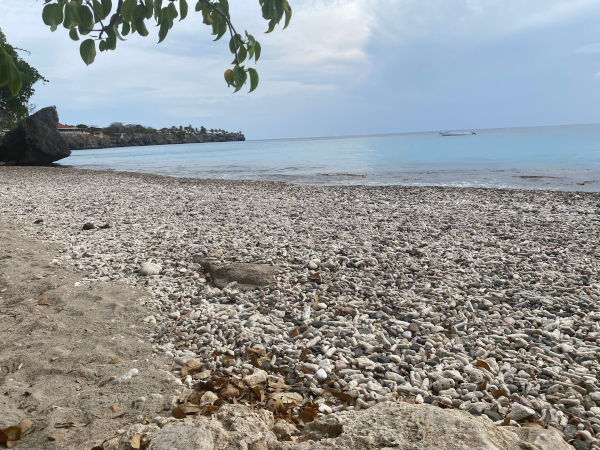 Beach from coral and volcano